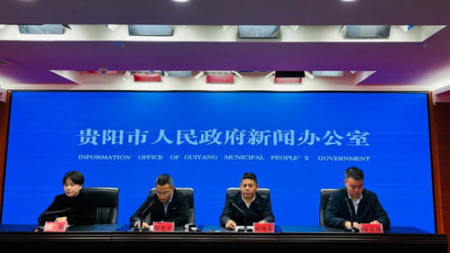 贵阳贵安软件和信息服务业蓬勃发展 2023年收入突破800亿元，技术服务成核心驱动力